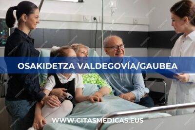 Osakidetza Valdegovía/Gaubea (Álava)