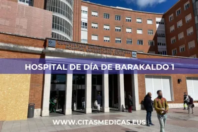 Hospital de Día de Barakaldo 1