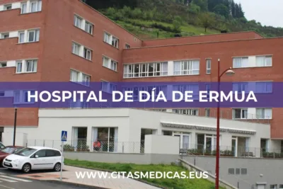 Hospital de Día de Ermua