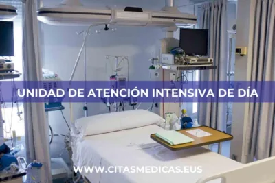 Unidad de Atención Intensiva de Día